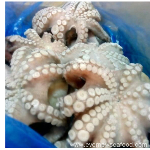 frozen octopus for sale